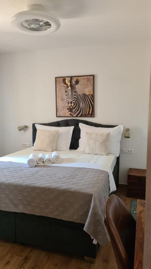 זאדאר Villa Queen מראה חיצוני תמונה