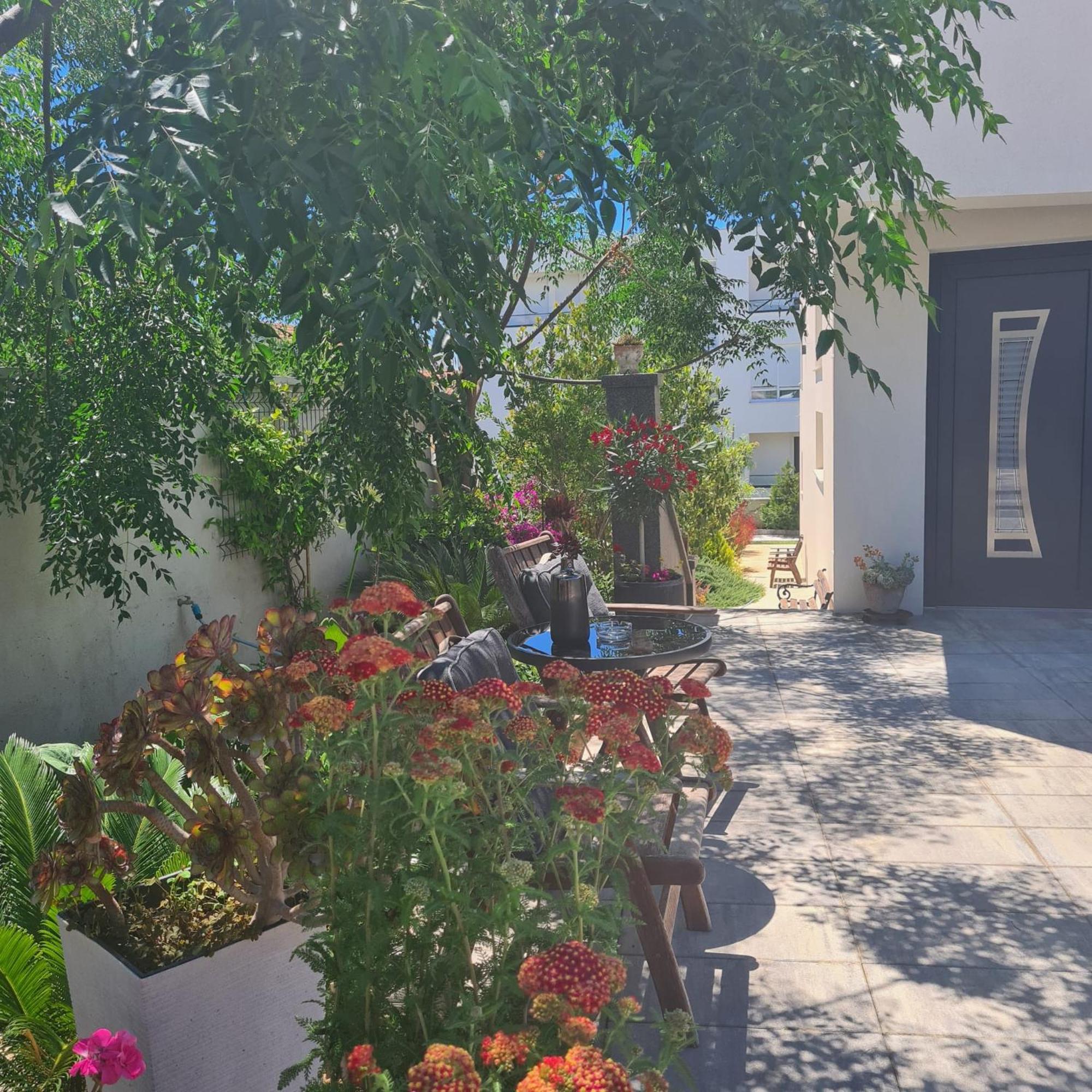 זאדאר Villa Queen מראה חיצוני תמונה